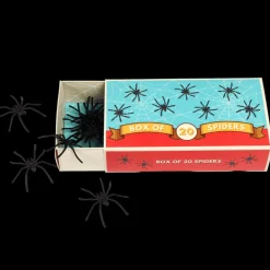 Boîte de 20 Araignées