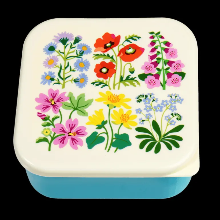 Boîtes à Collation Wild Flowers (Ensemble de 3)