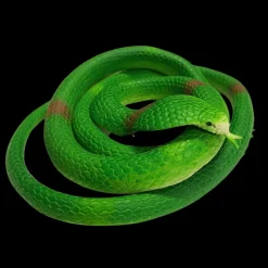 Cobra en Caoutchouc