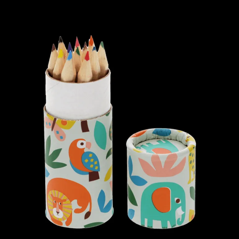 Crayons à Colorier Wild Wonders (Ensemble de 12)