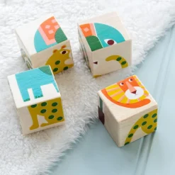 Cubes de Puzzle en Bois Wild Wonders