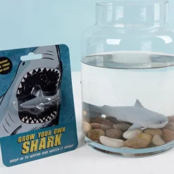 Faites Grandir Votre Propre Requin