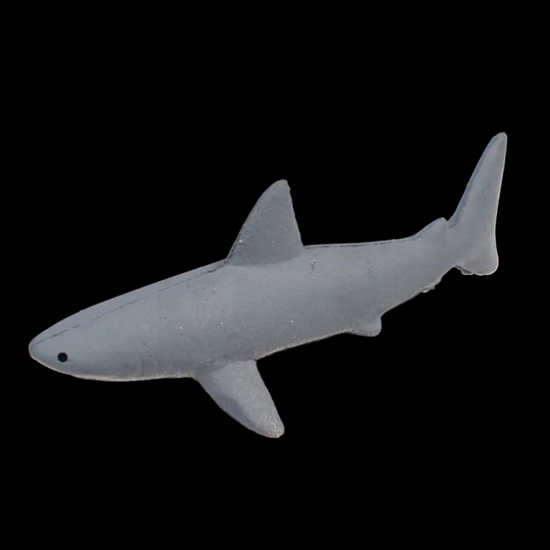 Faites Grandir Votre Propre Requin