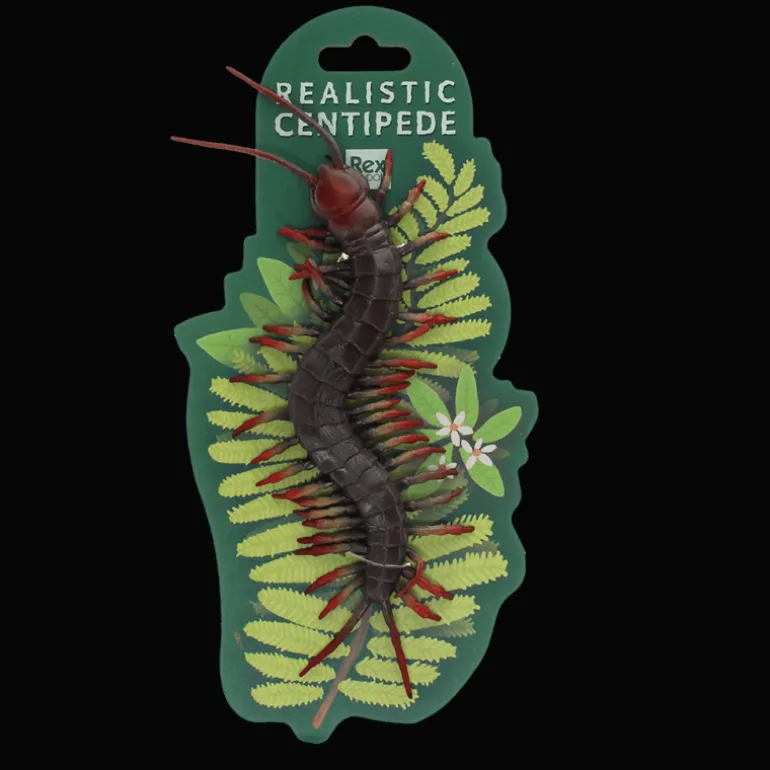 Jouet mille-pattes réaliste