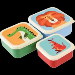 Set de 3 Boites " Colourful Creatures"
