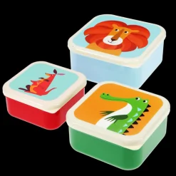 Set de 3 Boites " Colourful Creatures"
